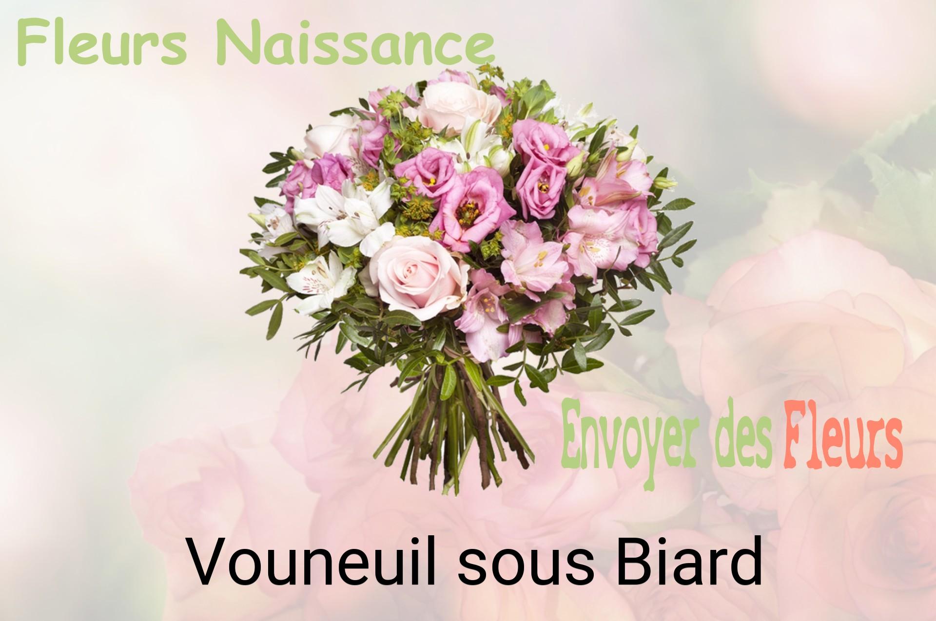 Bouquet de fleurs de naissance livré à Vouneuil-sous-Biard